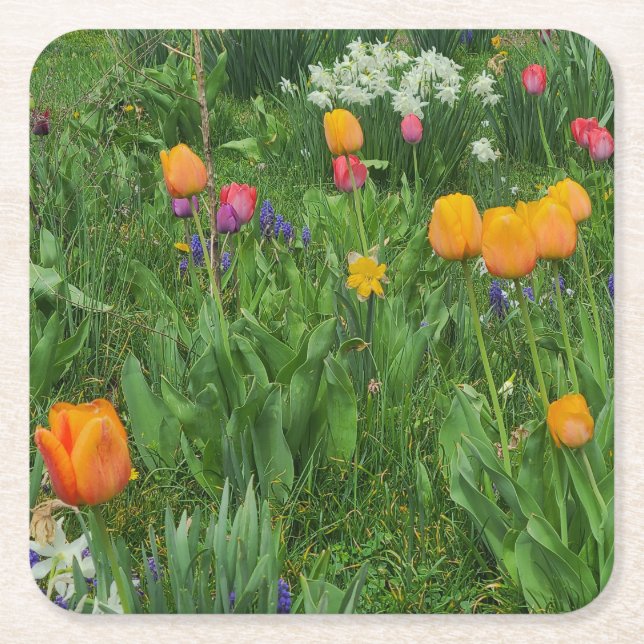 Paper Coaster (Front)