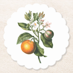 PAPER COASTER : BITTER ORANGE BLOSSOM
