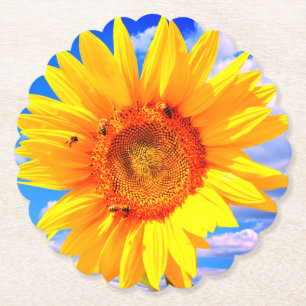 Paper Coasters with Sunflower