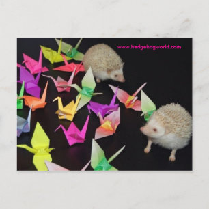 paper crane hedgehog postcard