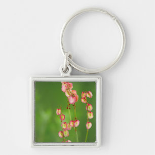 Paper Hearts (Rumex Woodii), Ukhahlamba Keychain