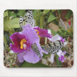 Paper Kite Butterflies (Idea leuconoe) on Mouse Pad
