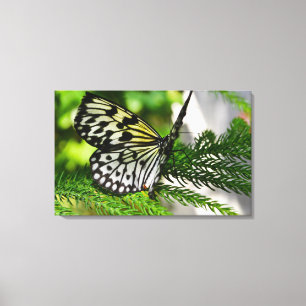 Paper Kite Butterfly Canvas Print