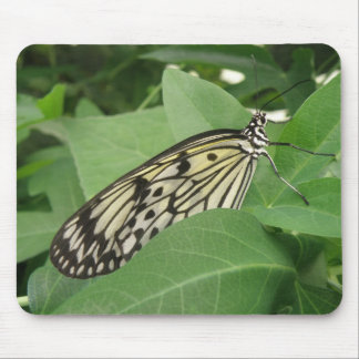 Paper Kite Butterfly Macro Mousepad