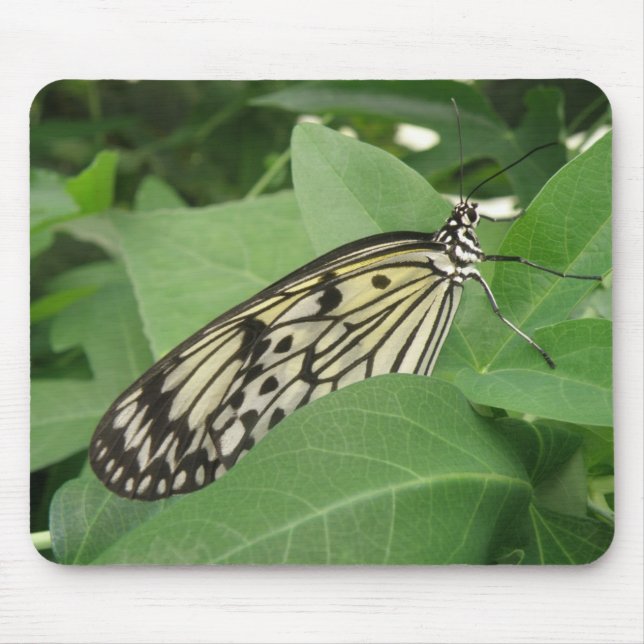 Paper Kite Butterfly Macro Mousepad (Front)