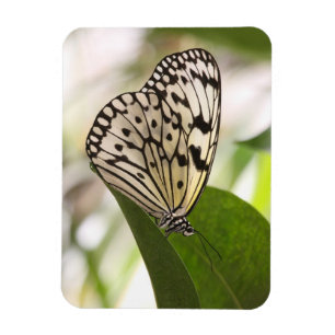 Paper kite butterfly magnet