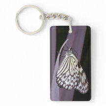 Paper Kite butterfly on purple