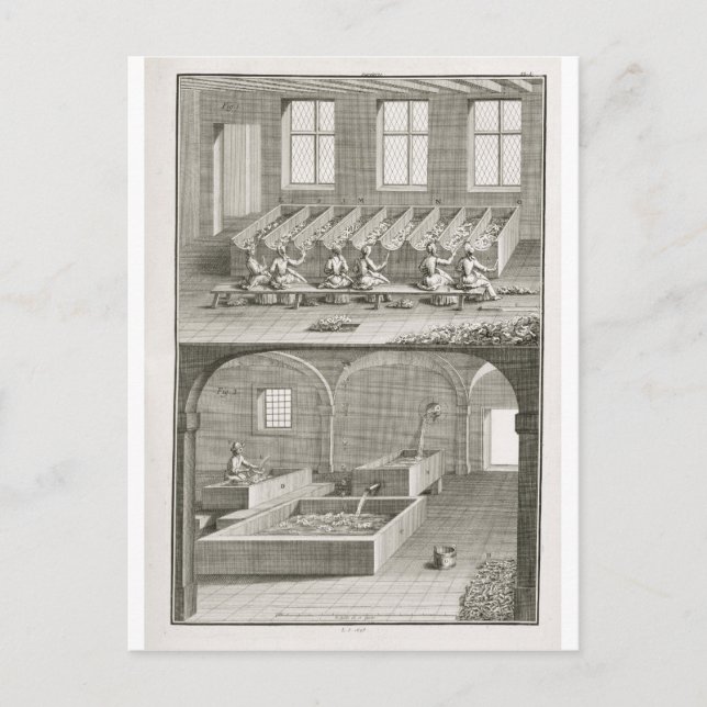 Paper making, from the 'Encyclopedie des Sciences Postcard (Front)