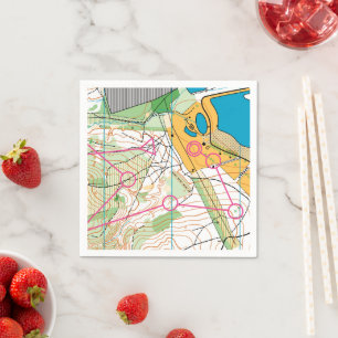 Paper Napkin - Orienteering map