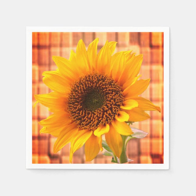 Paper Napkins (Front)