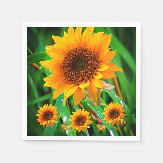 Paper Napkins (Front)