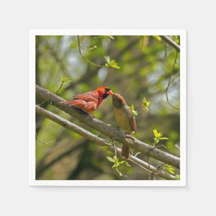 Paper Napkins, Kissing Cardinals. Napkin
