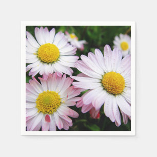 Paper napkins three cute daisies