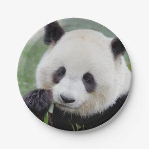 Paper plane Photo giant panda 0309. Paper Plate