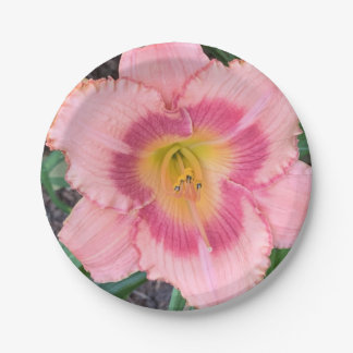 Paper Plate