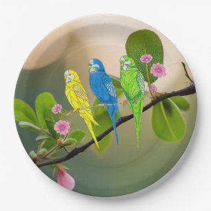 Paper Plate Budgies