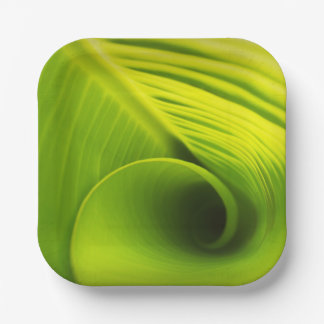 Paper Plate."Eco-Friendly Elegance: Leaf Design Di Plate