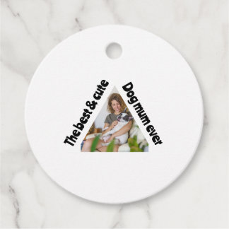 Paper Plate Favour Tags