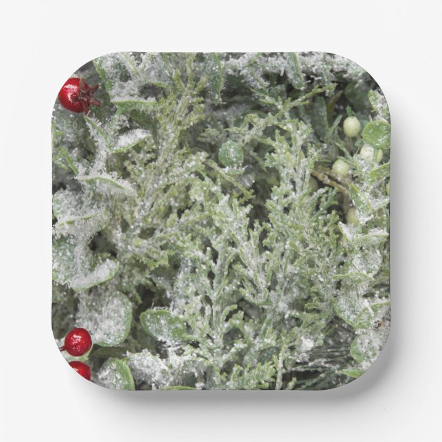 Paper plates  (Front)