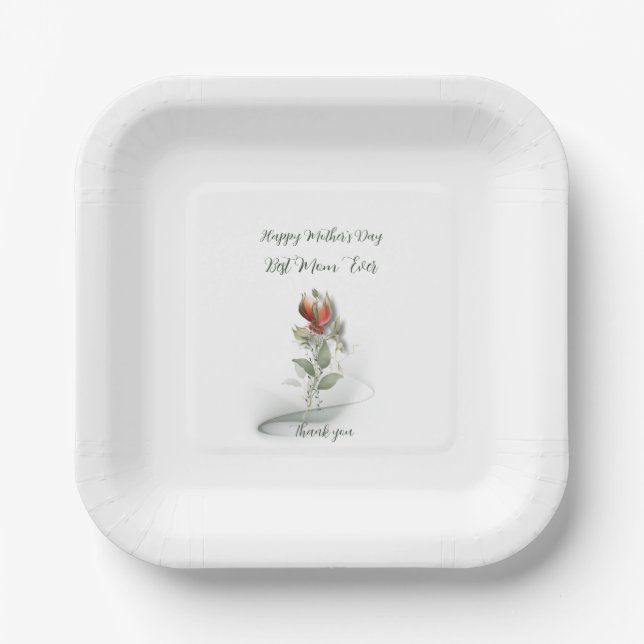Paper plates  (Front)