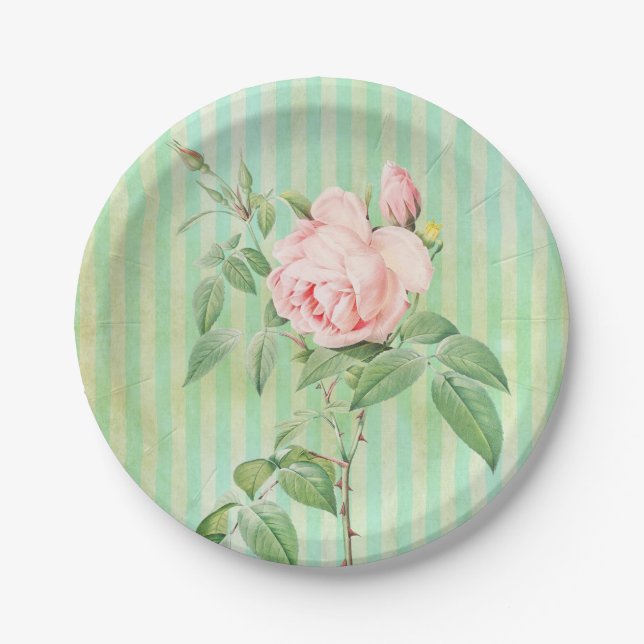 Paper Plates, Green Stripe Floral Pink Rose Paper Plate (Front)
