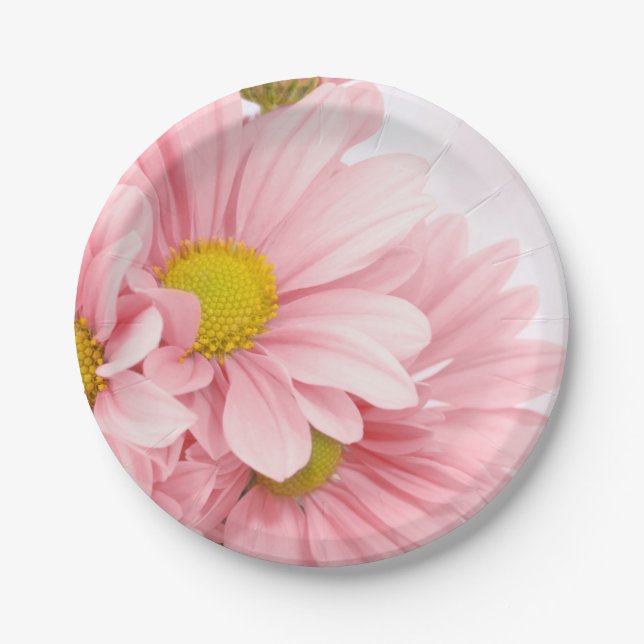 Paper Plates Pink Daisies (Front)
