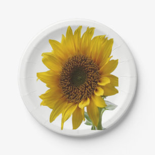 Paper plates Sunflowers