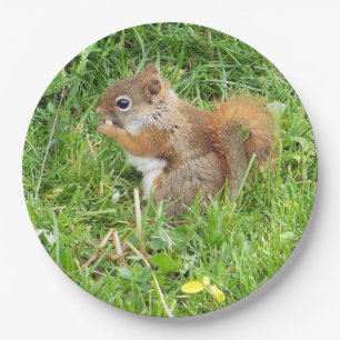 Paper Plates " Themed, Beautful Red Squirrel "