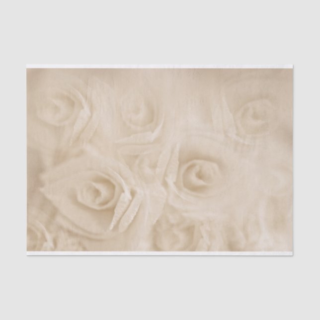 Paper Sepia Roses (Front)