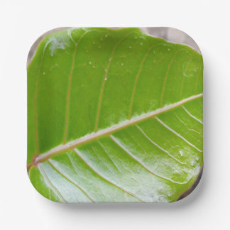Paper Square Bowl with Leaf Design Paper Plate