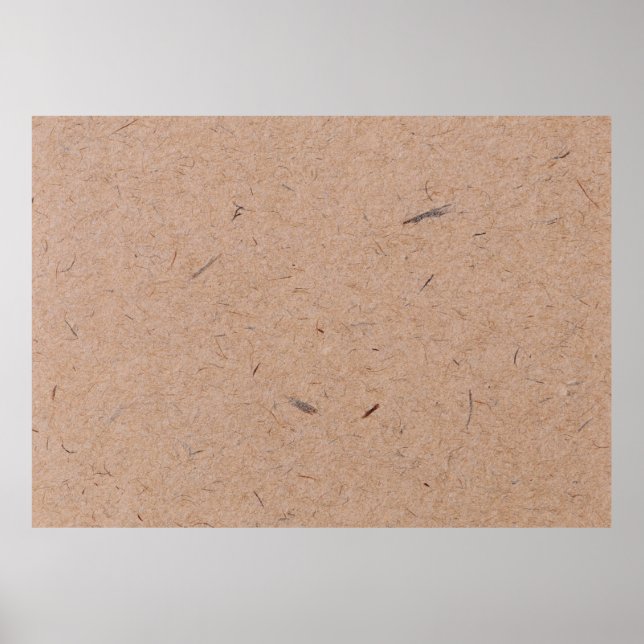 Paper texture brown background poster (Front)