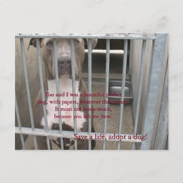 papers postcard (Front)