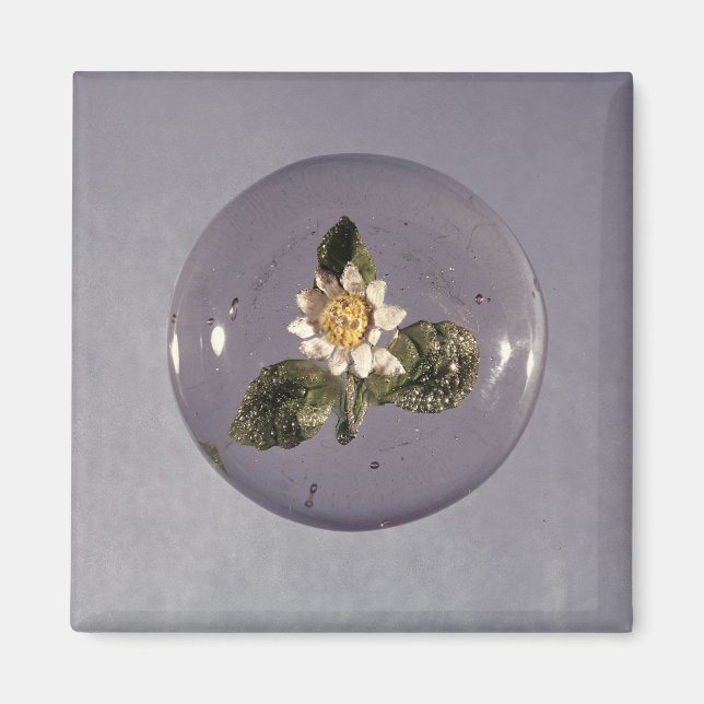 Paperweight, Pantin Workshop, c.1850 Magnet (Front)