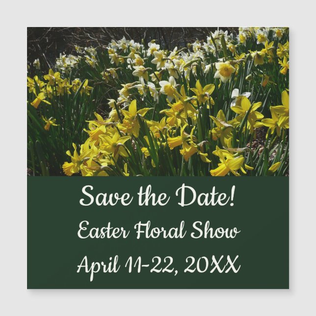 Paperwhite Narcissus Delicate White Flowers (Front)