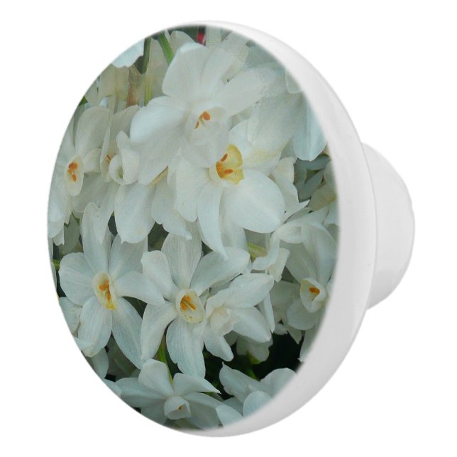 Paperwhite Narcissus Delicate White Flowers Ceramic Knob (Right)