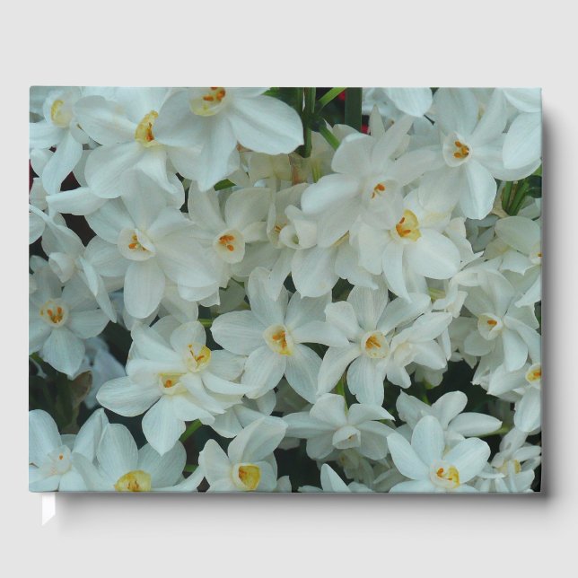 Paperwhite Narcissus Delicate White Flowers Guest Book (Front)
