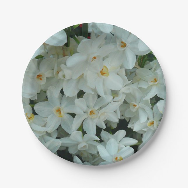 Paperwhite Narcissus Delicate White Flowers Paper Plate (Front)