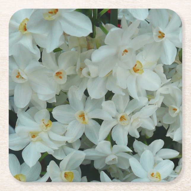 Paperwhite Narcissus Delicate White Flowers Square Paper Coaster (Front)