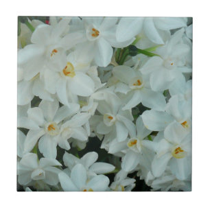 Paperwhite Narcissus Delicate White Flowers Tile