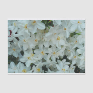 Paperwhite Narcissus Delicate White Flowers Tissue Paper