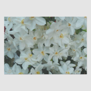 Paperwhite Narcissus Delicate White Flowers Tissue Paper