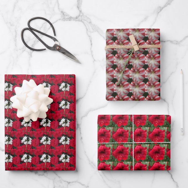 Paperwhites and Christmas Amaryllis Floral Pattern Wrapping Paper Sheet (Front)