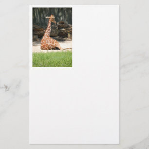 Papeterie adorable Giraffe assise