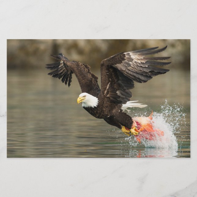 Papeterie Aigle à tête plate (Devant)
