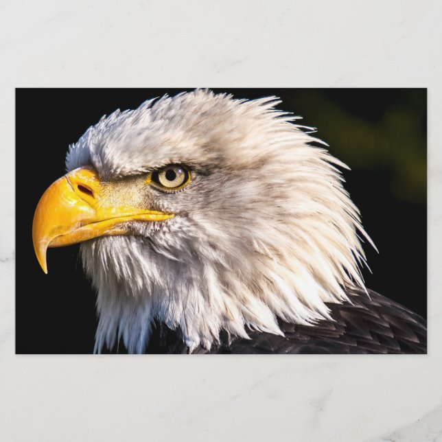 Papeterie Aigle de Bald (Devant)