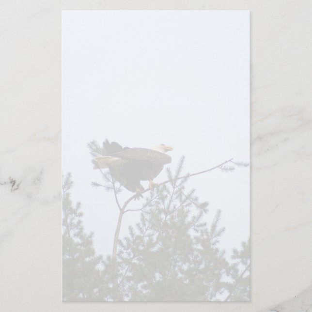 Papeterie Aigle de Bald (Devant)