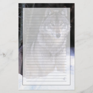 Papeterie Amérique du Nord, Canada, Est du Canada, Loup gris