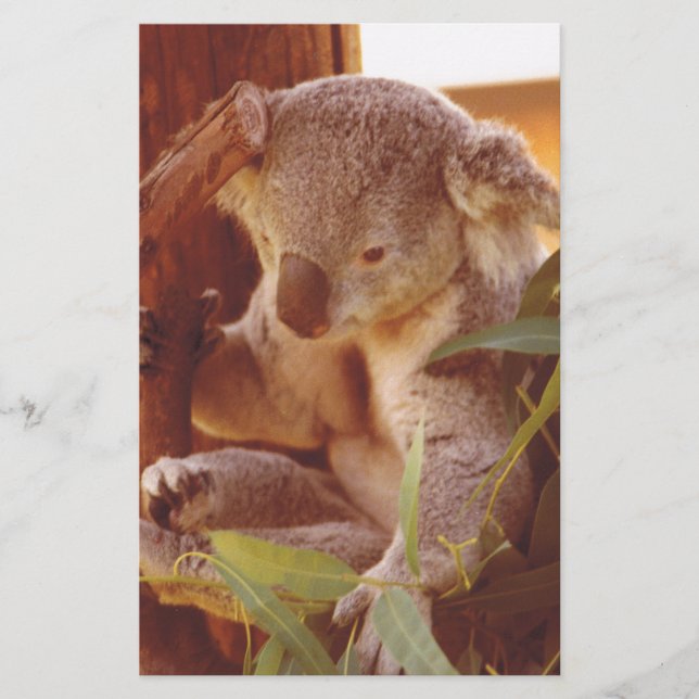 Papeterie Amour Koala (Devant)