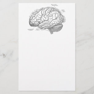 Papeterie Anatomie vintage de cerveau