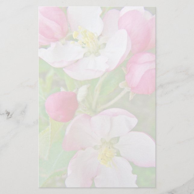 Papeterie Apple fleurissent temps (Devant)